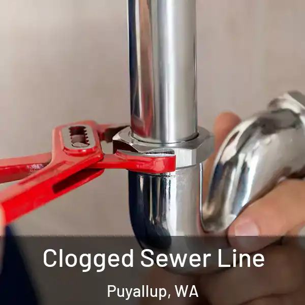  Clogged Sewer Line Puyallup, WA