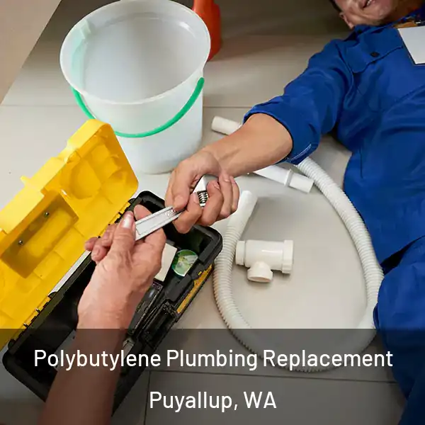  Polybutylene Plumbing Replacement Puyallup, WA