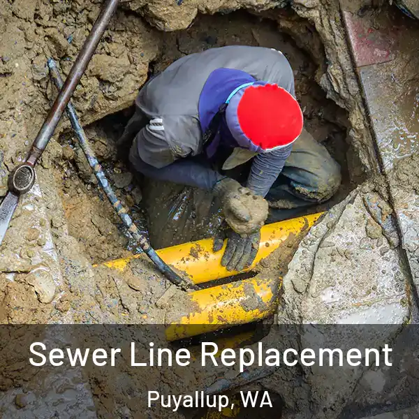  Sewer Line Replacement Puyallup, WA