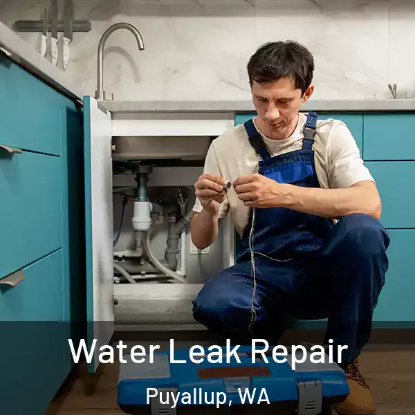  Water Leak Repair Puyallup, WA